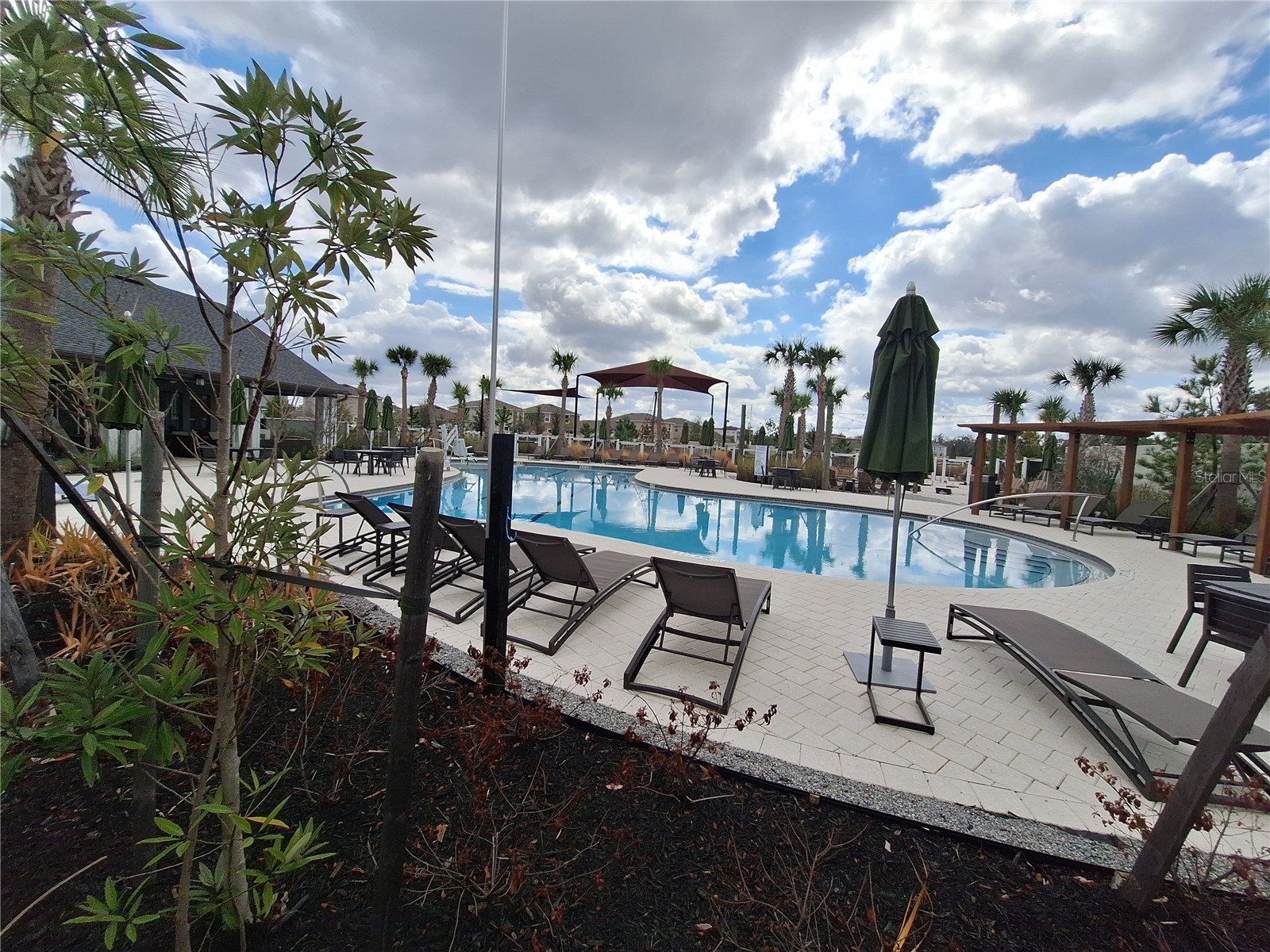 35735 Sunflower Hill Drive Zephyrhills FL 33541 TB8476028 image20