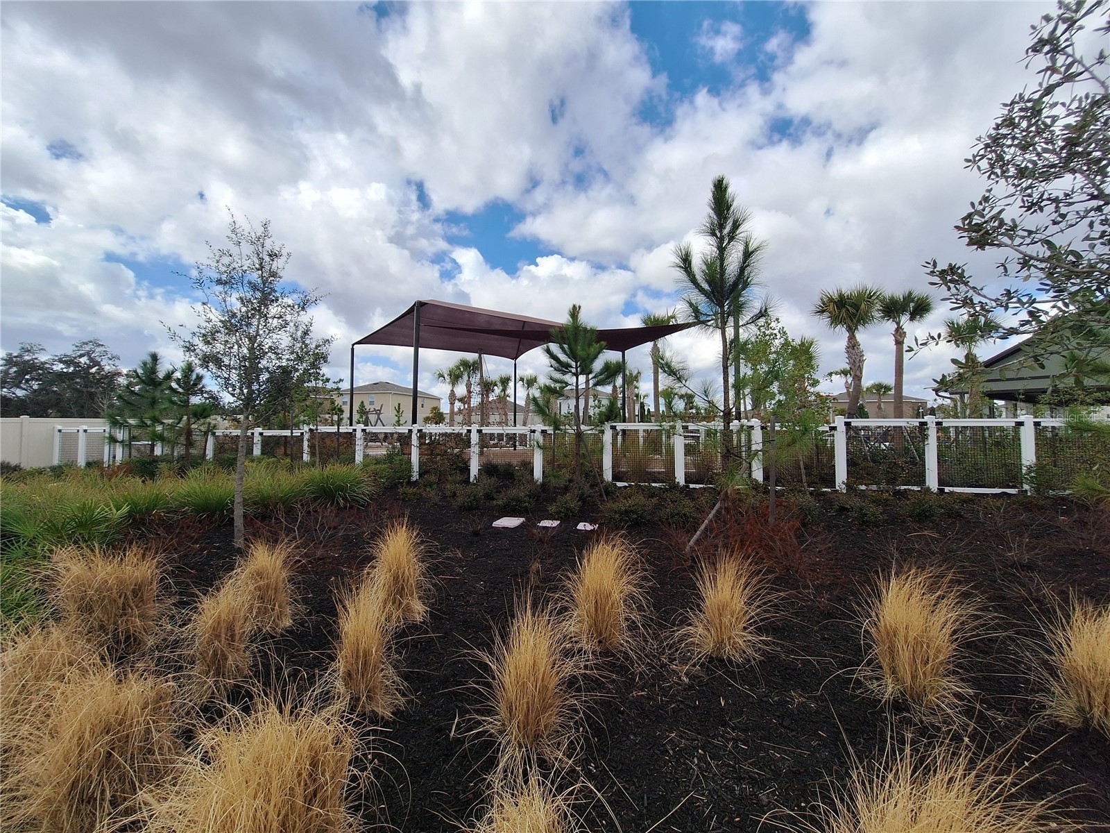 35735 Sunflower Hill Drive Zephyrhills FL 33541 TB8476028 image21