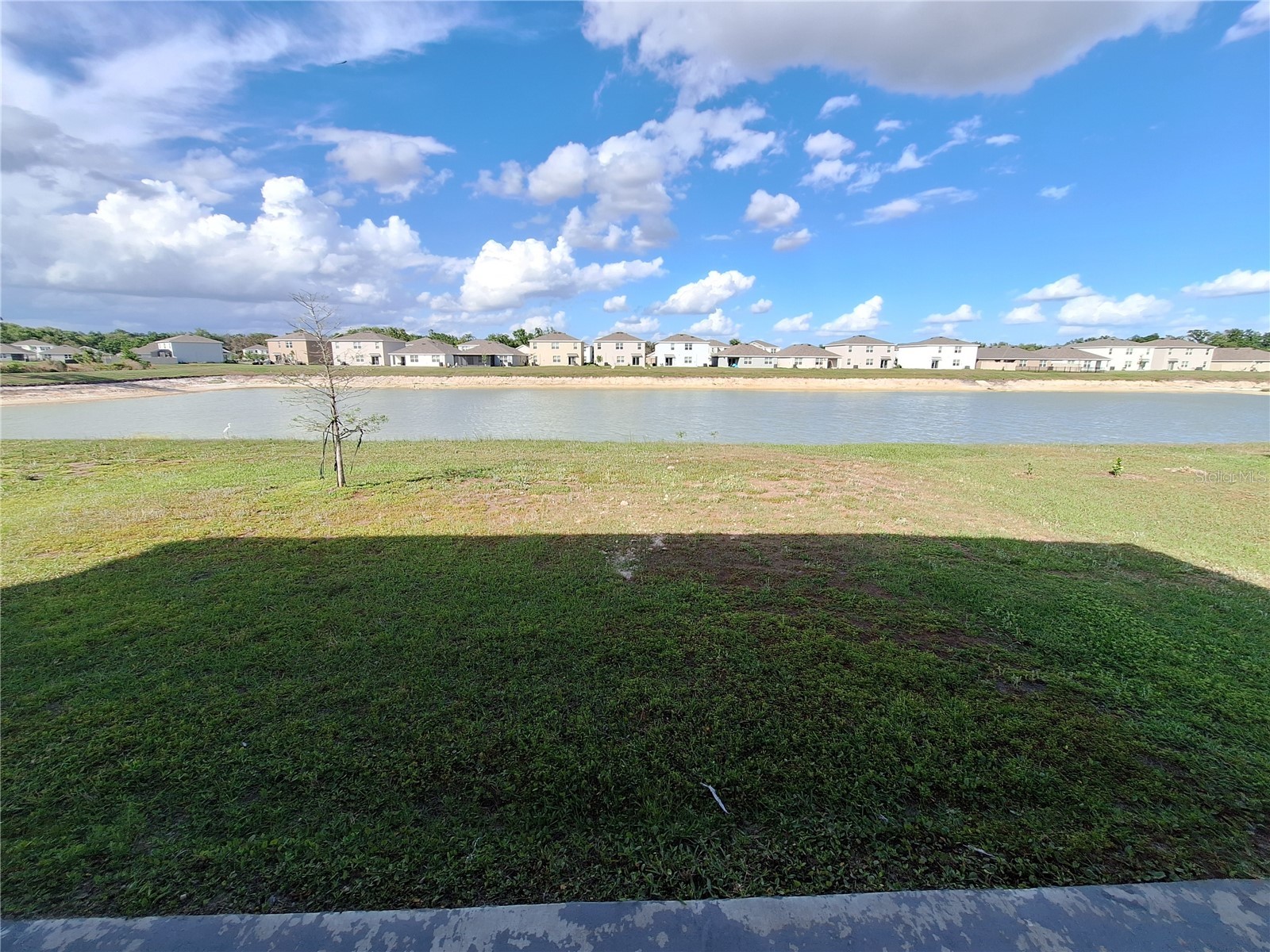 35735 Sunflower Hill Drive Zephyrhills FL 33541 TB8508509 image2