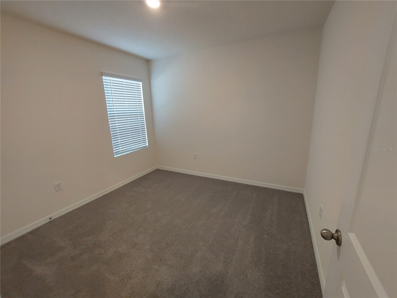 35735 Sunflower Hill Drive Zephyrhills FL 33541 TB8508509 image6