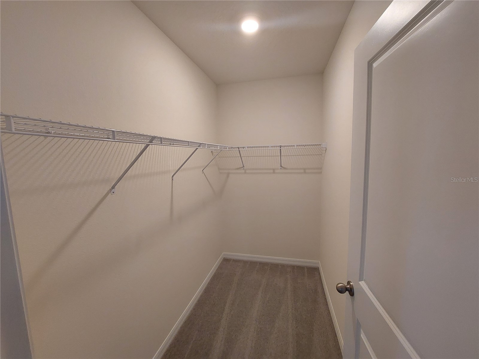 35735 Sunflower Hill Drive Zephyrhills FL 33541 TB8508509 image8