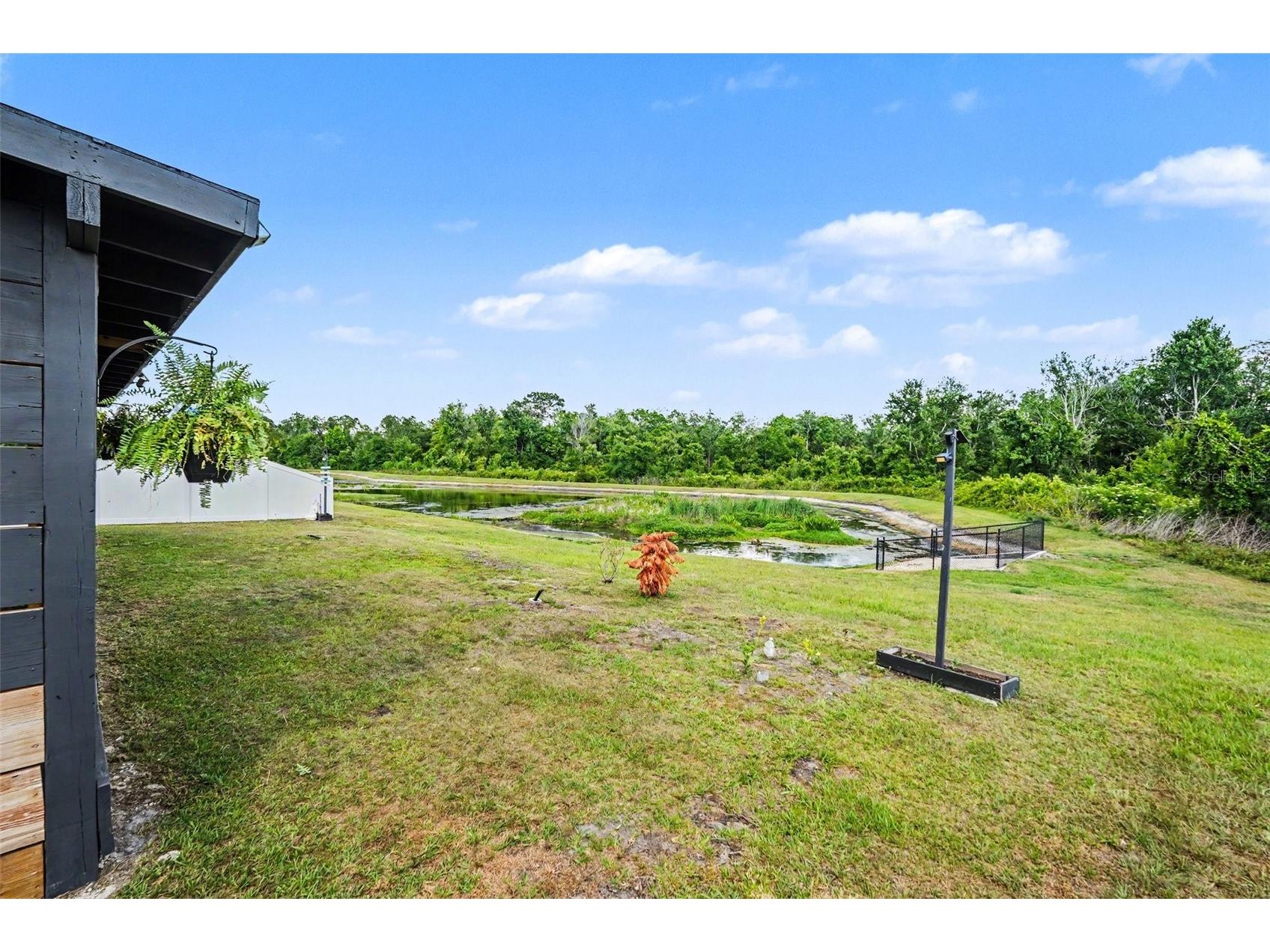 35739 Buttonweed Trail Zephyrhills FL 33541 TB8504847 image25
