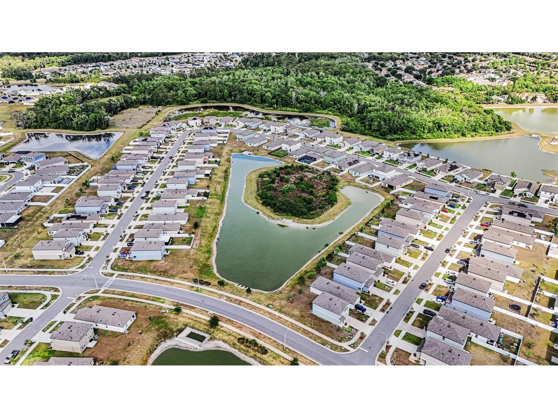 35739 Buttonweed Trail Zephyrhills FL 33541 TB8504847 image32