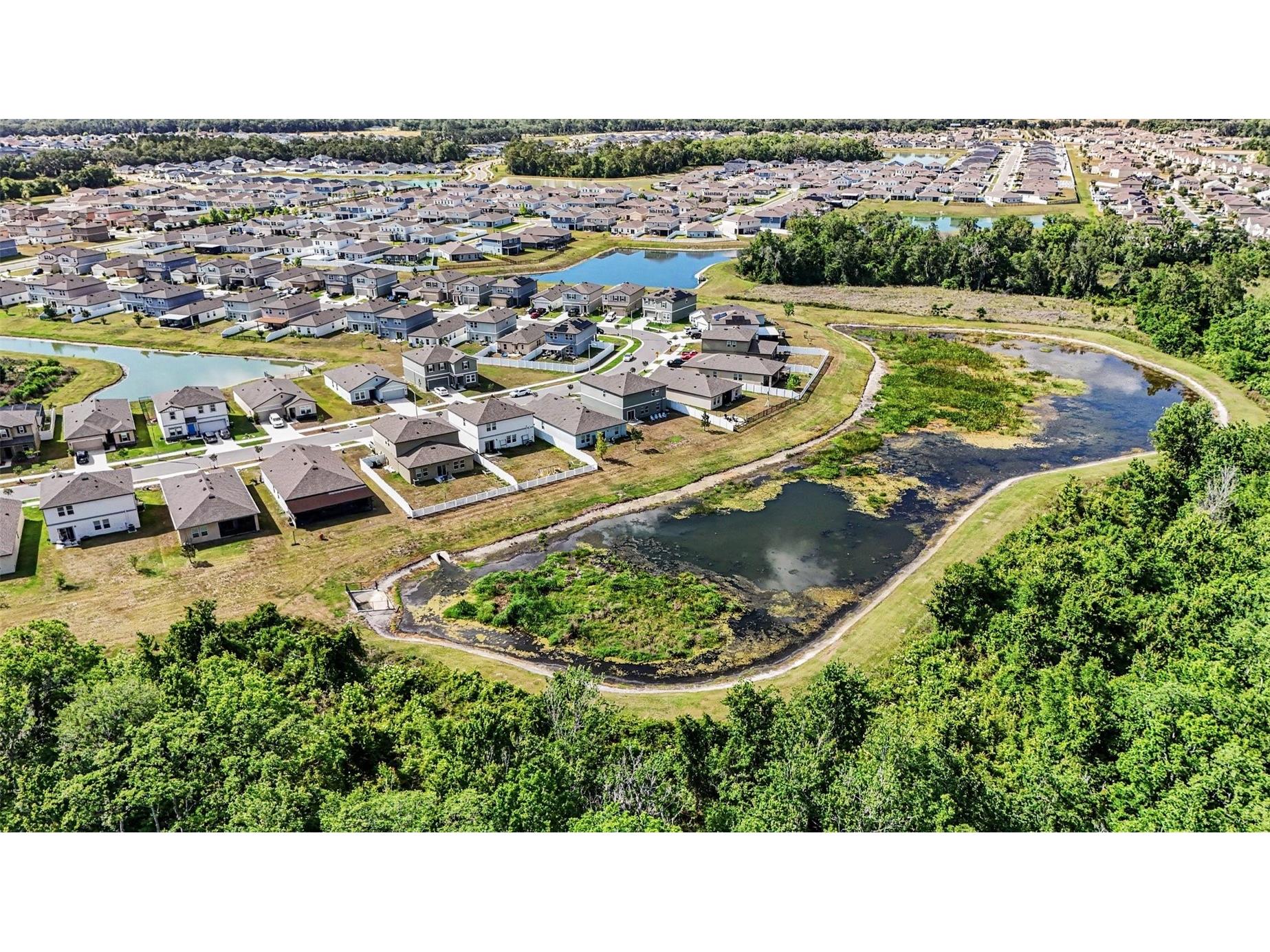 35739 Buttonweed Trail Zephyrhills FL 33541 TB8504847 image34