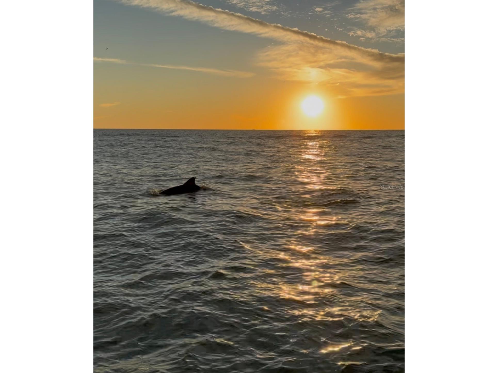 3575 Gulf Boulevard #105 Saint Pete Beach FL 33706 - GULF OF MEXICO O6373735 image39