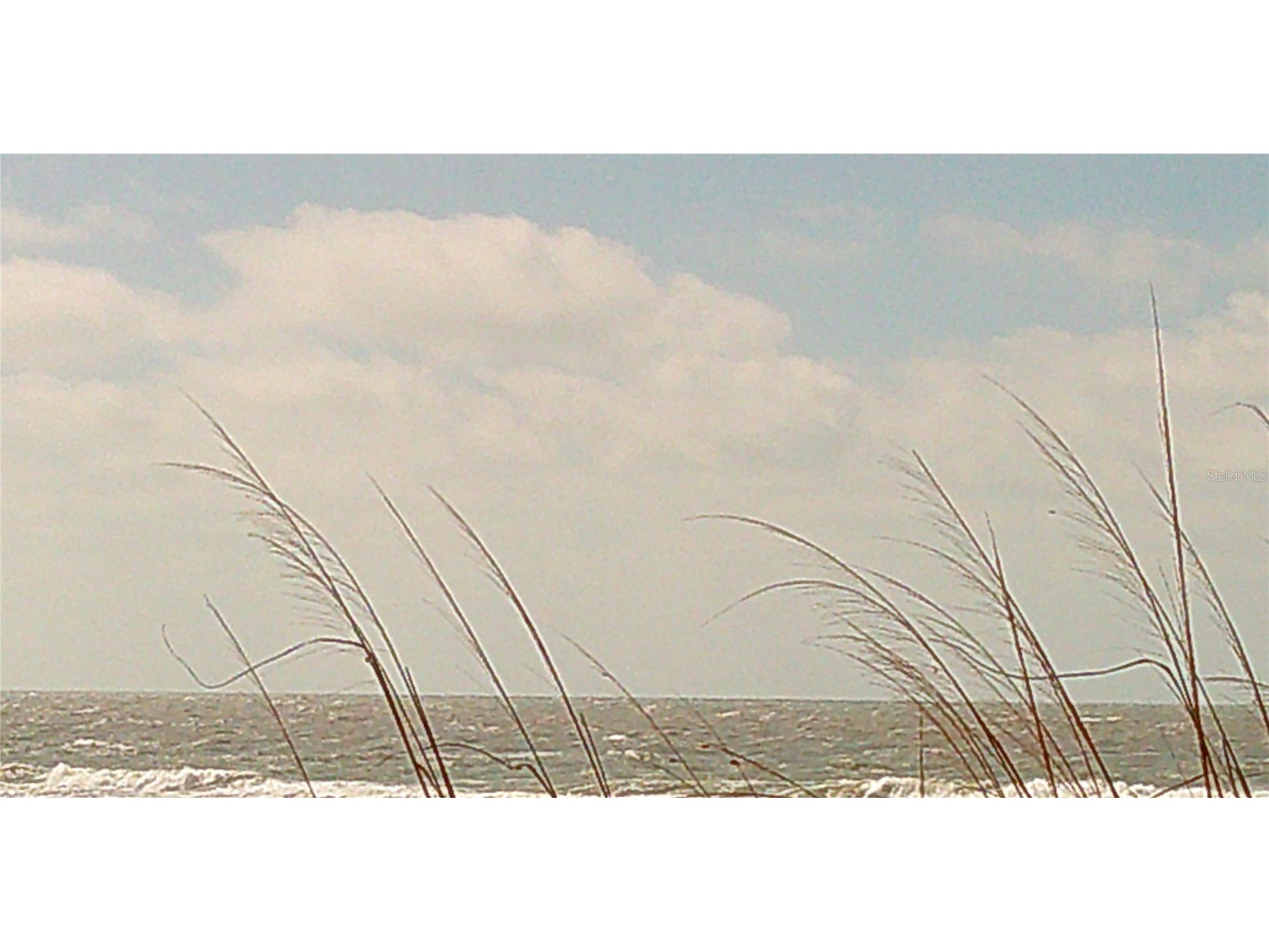 3575 Gulf Boulevard #301 Saint Pete Beach FL 33706 TB8457011 image28