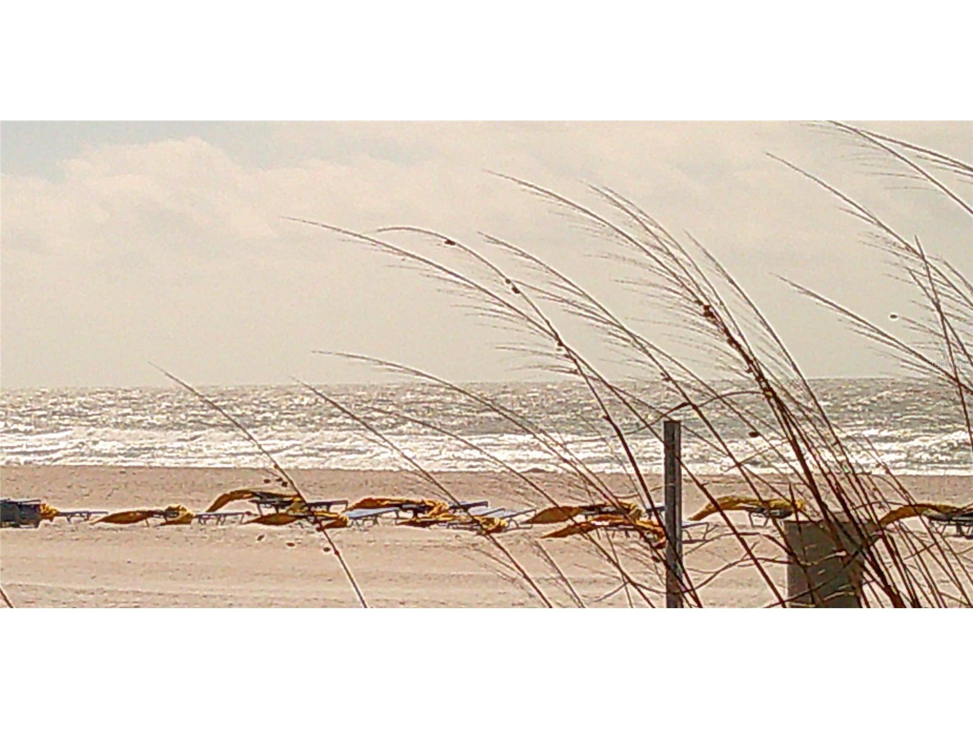 3575 Gulf Boulevard #301 Saint Pete Beach FL 33706 TB8457011 image29