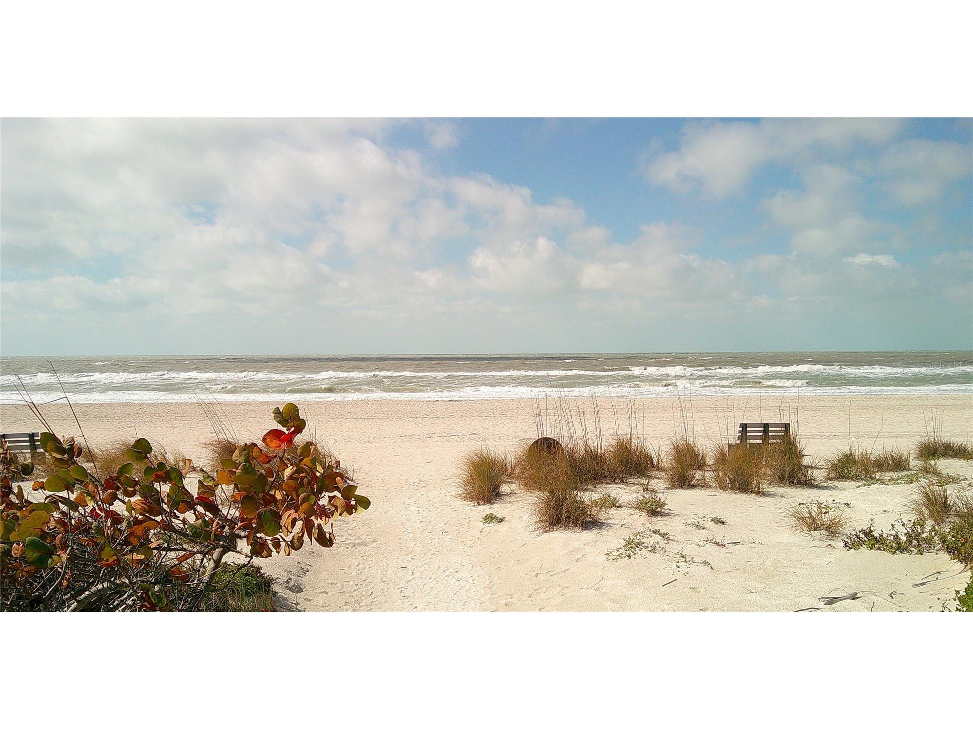 3575 Gulf Boulevard #301 Saint Pete Beach FL 33706 TB8457011 image32