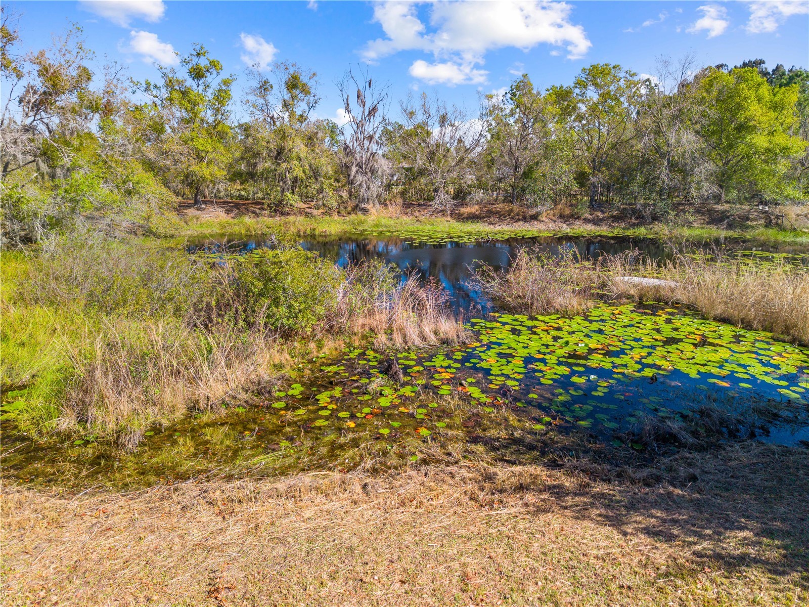 3575 Kaiser Avenue Saint Cloud FL 34772 S5142538 image67