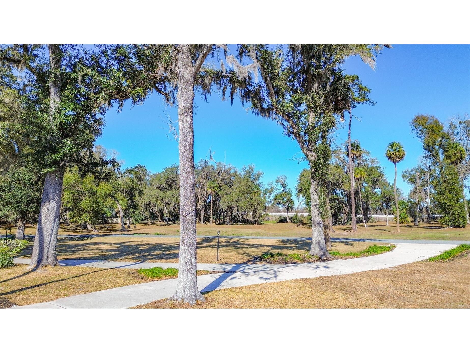 3575 SW 24th Avenue Road Ocala FL 34471 W7883580 image81
