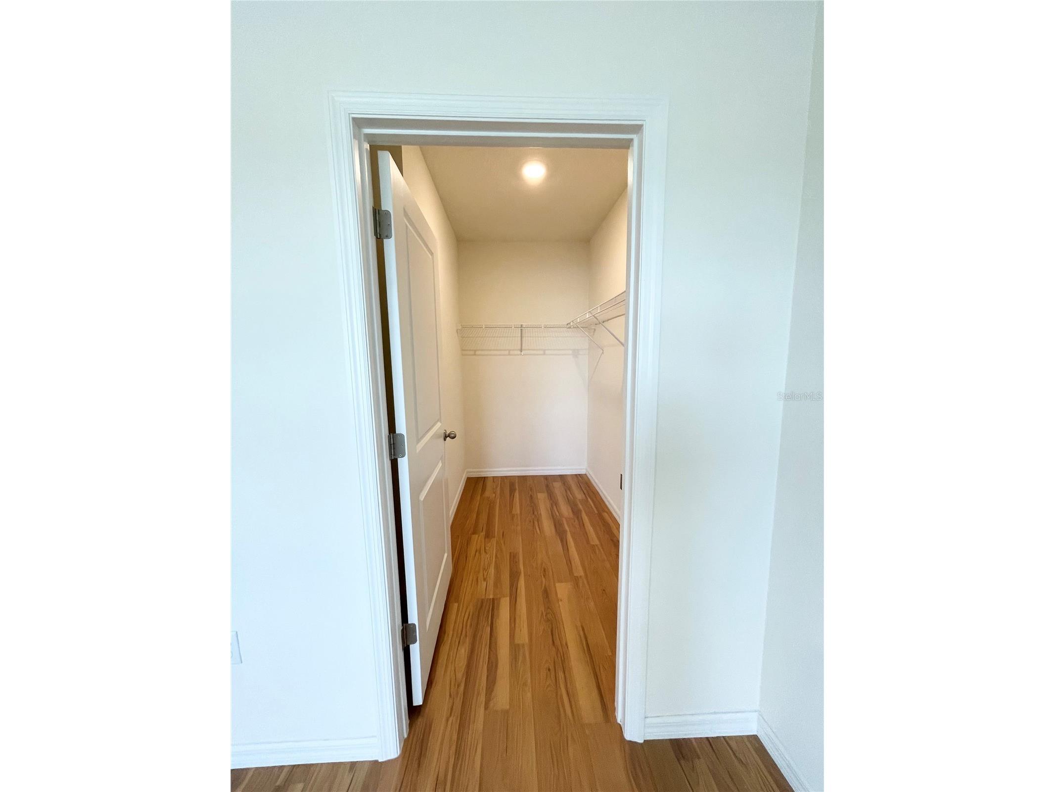 35759 Sunflower Hill Dr Zephyrhills FL 33541 TB8516550 image19