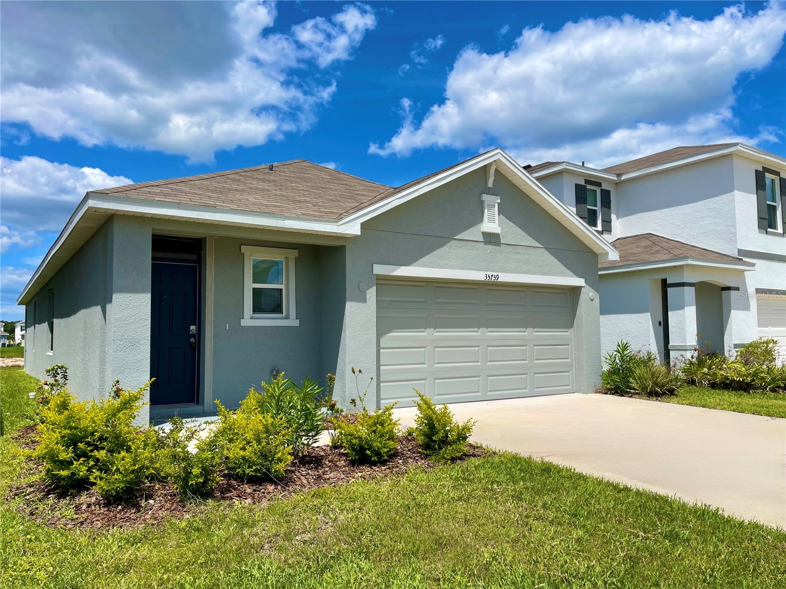 35759 Sunflower Hill Dr Zephyrhills FL 33541 TB8516550 image2