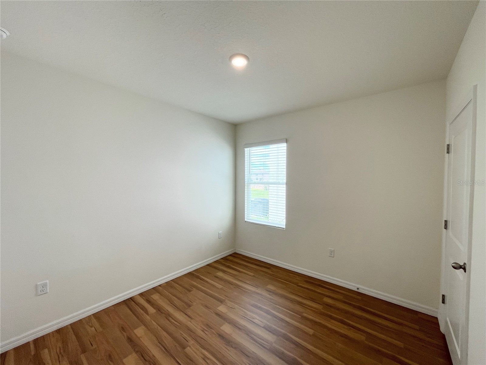35759 Sunflower Hill Dr Zephyrhills FL 33541 TB8516550 image29