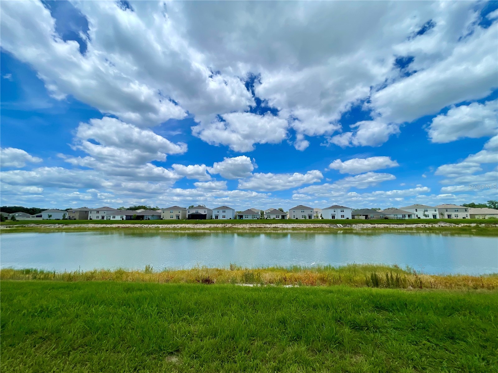 35759 Sunflower Hill Dr Zephyrhills FL 33541 TB8516550 image36