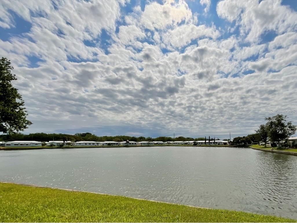 3576 100th Avenue N #3576 Pinellas Park FL 33782 U8194573 image1