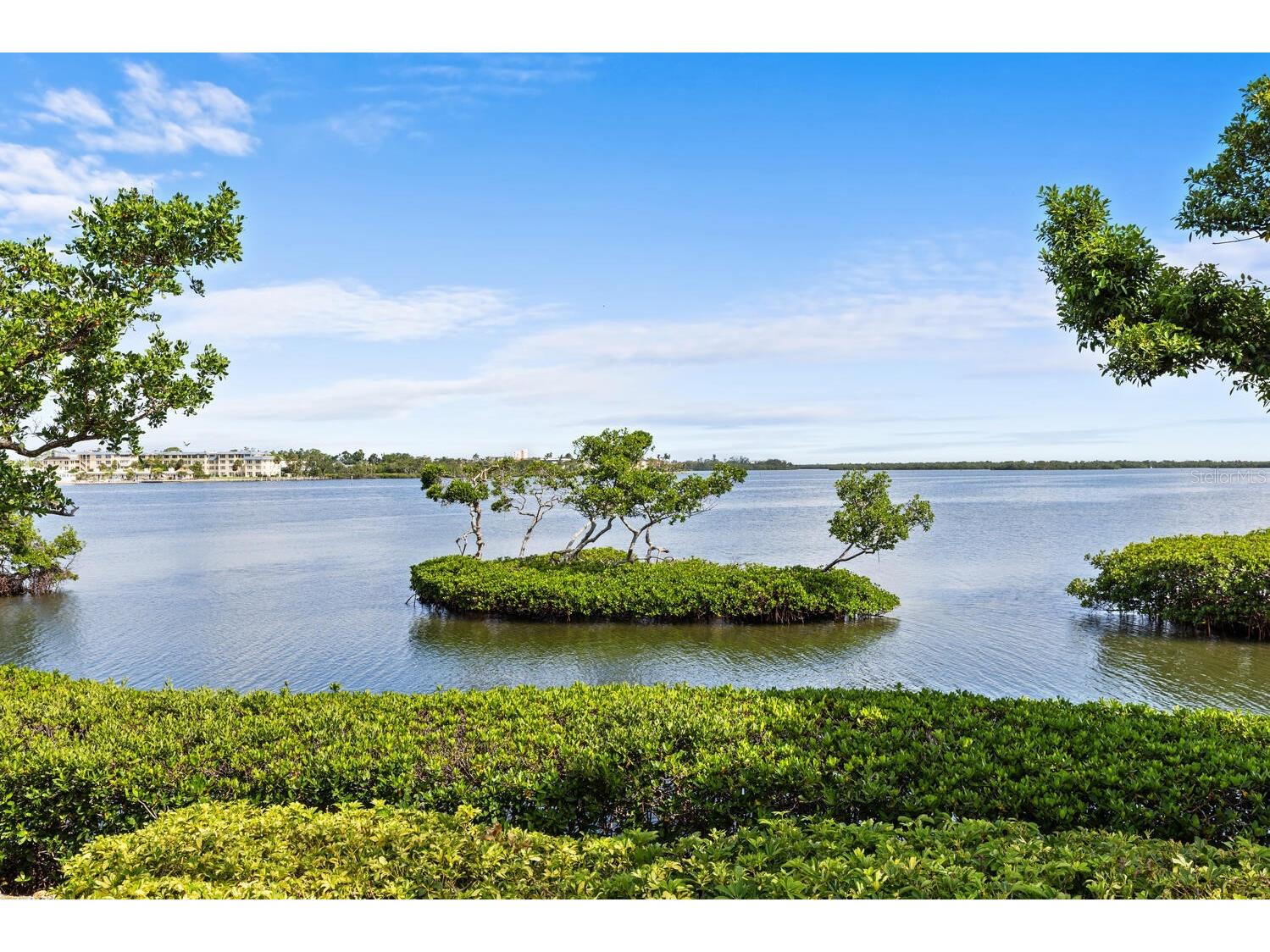 3576 Fair Oaks Way Longboat Key FL 34228 A4658145 image10