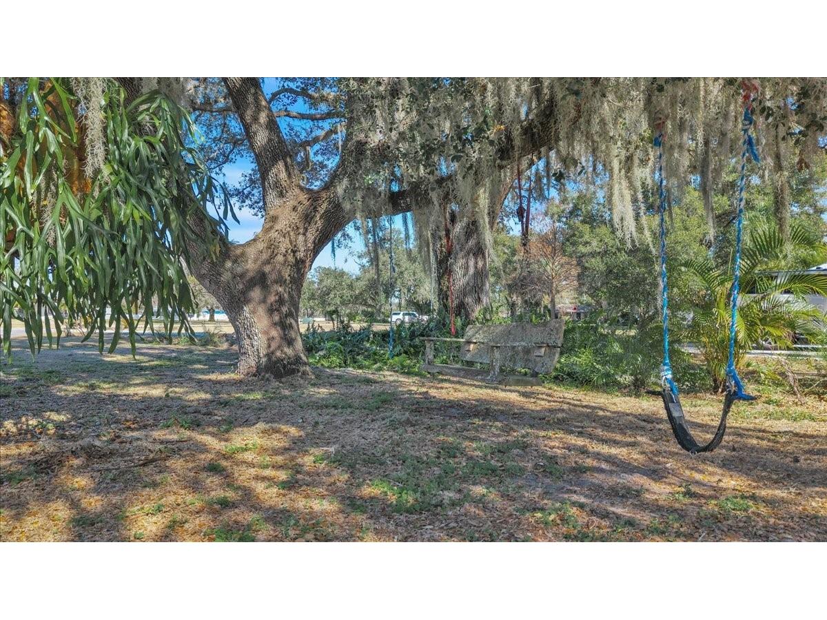 3576 SE Montgomery Circle Arcadia FL 34266 C7521725 image25