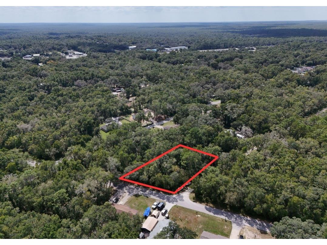 3578 E Lou Lane Inverness FL 34453 TB8434431 image1