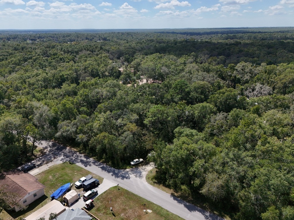 3578 E Lou Lane Inverness FL 34453 TB8434431 image4