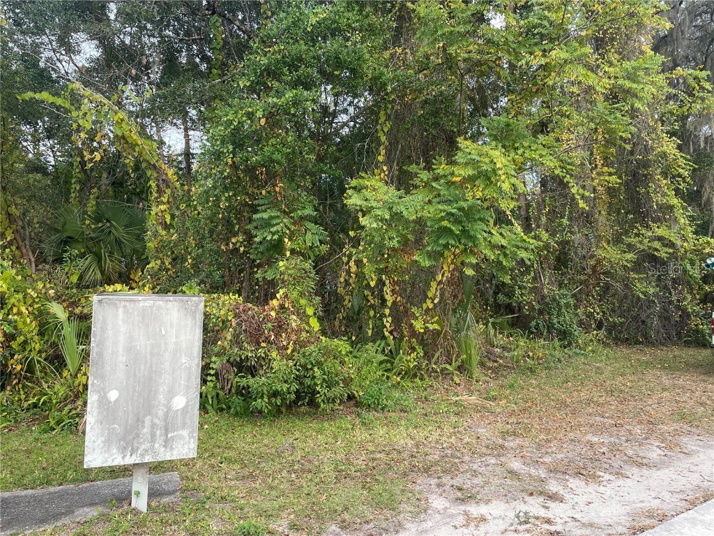 3579 Jerathan Drive Deland FL 32724 O6366012 image3