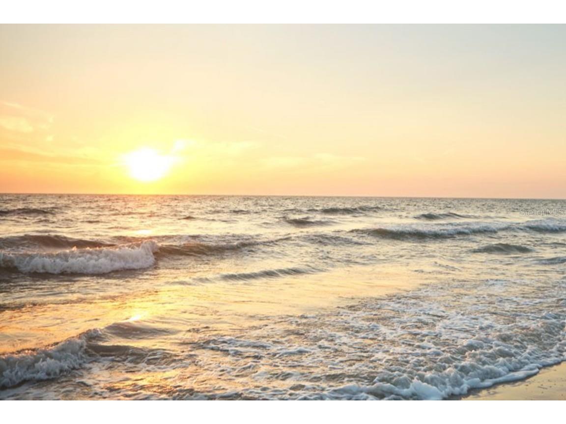 358 Monika Place Saint Augustine FL 32080 O6364652 image2