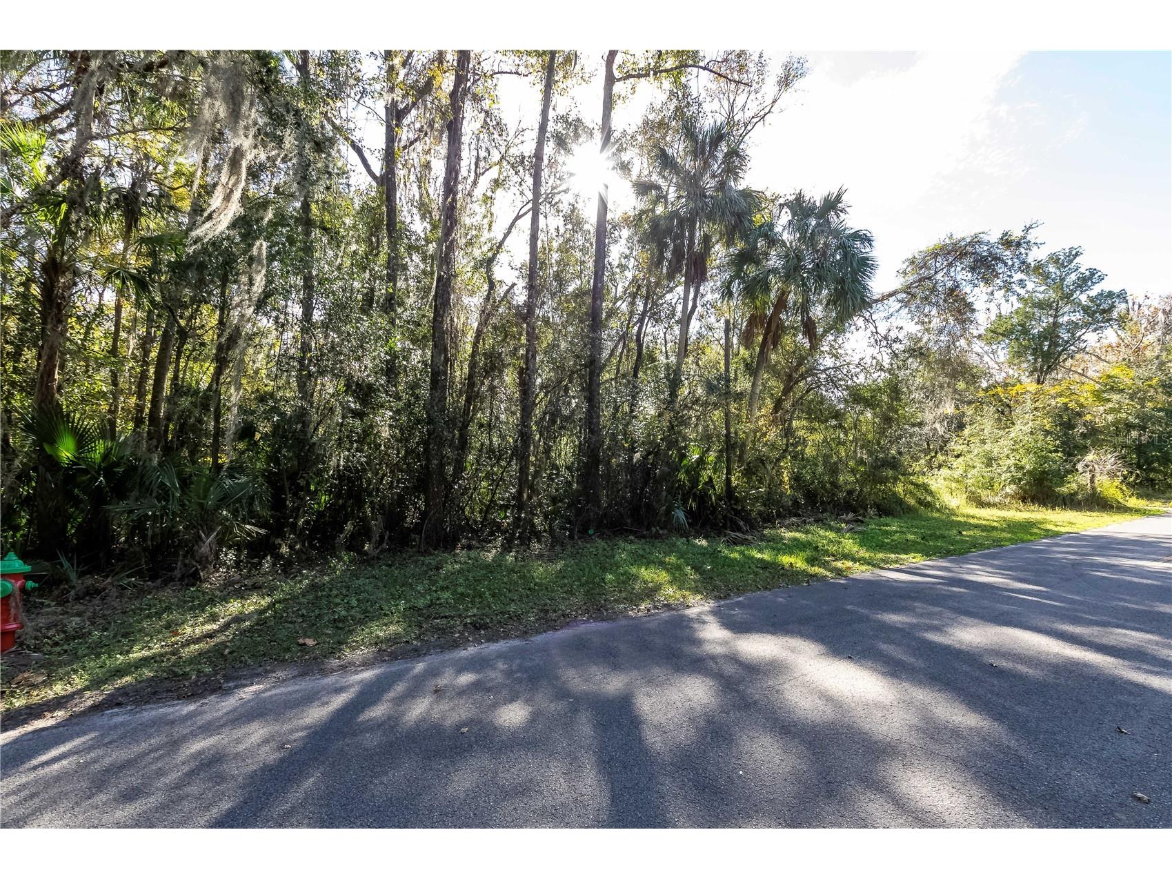 358 NE 13th Terrace Crystal River FL 34428 V4947057 image4