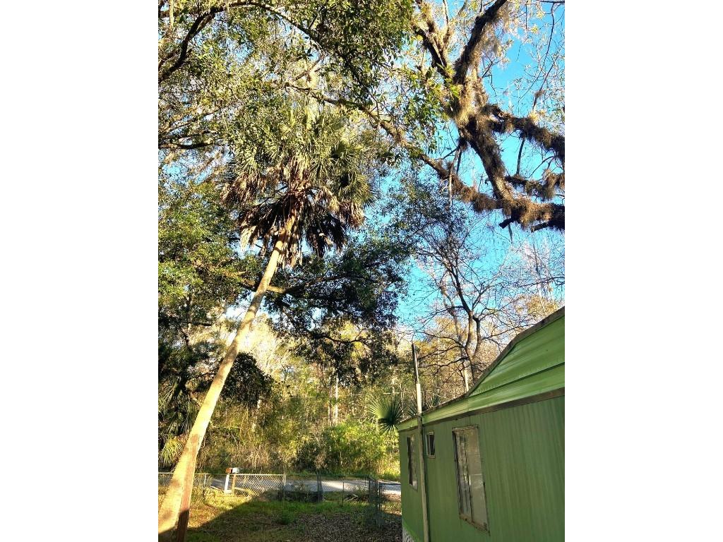 358 S Tuck Inverness FL 34450 TB8452339 image14