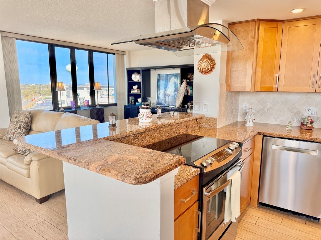 3580 S Ocean Shore Boulevard #502 Flagler Beach FL 32136 - ATLANTIC OCEAN FC314410 image8