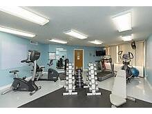 3580 S Oceanshore Boulevard #509 Flagler Beach FL 32136 FC313205 image27