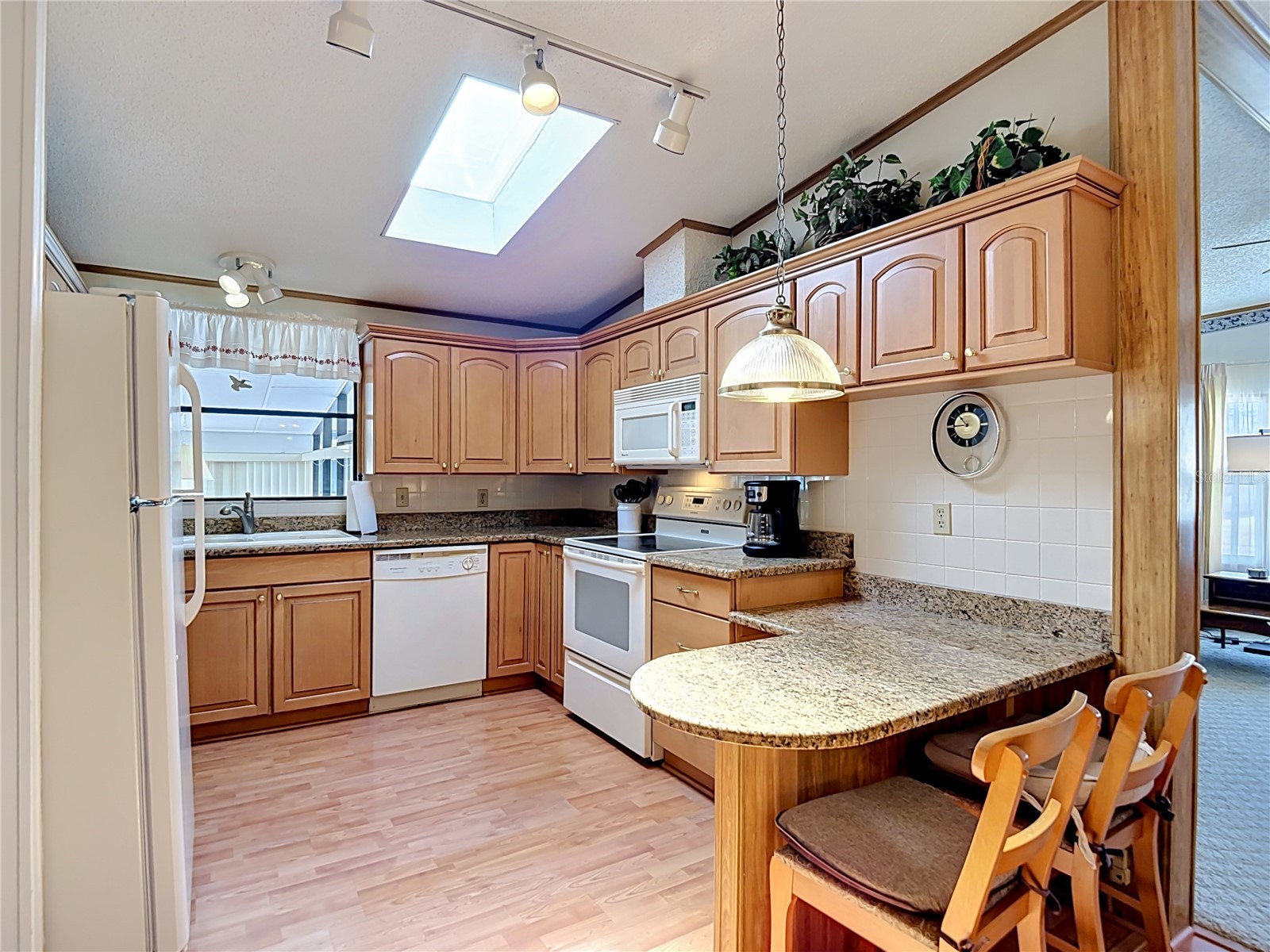 35801 Brisa Drive Zephyrhills FL 33541 TB8505910 image12