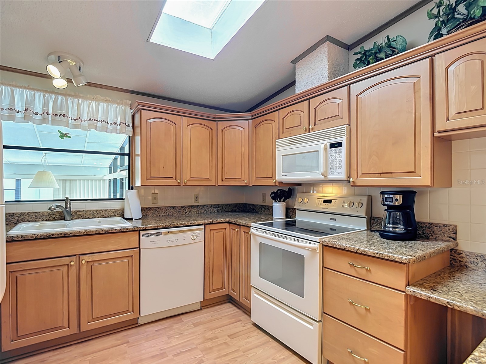 35801 Brisa Drive Zephyrhills FL 33541 TB8505910 image13