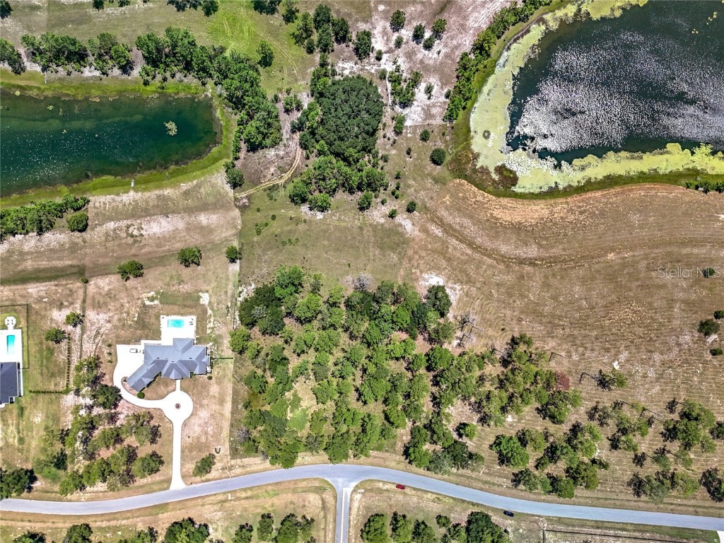 35802 Pinegate Trail Eustis FL 32736 O6338630 image1