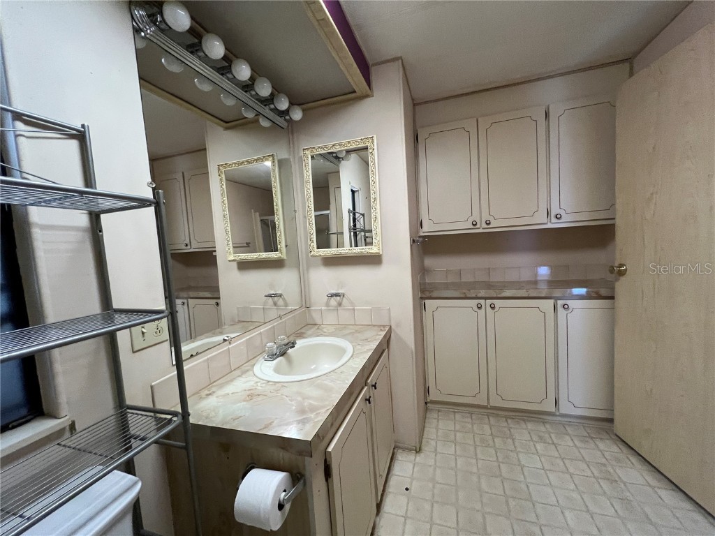 35804 Brisa Drive Zephyrhills FL 33541 TB8378806 image14