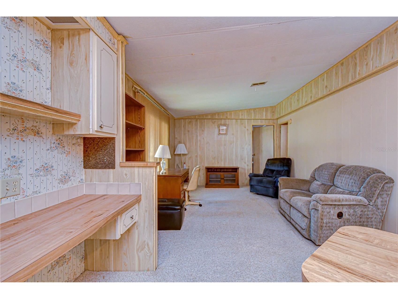 35804 Brisa Drive Zephyrhills FL 33541 TB8507426 image13