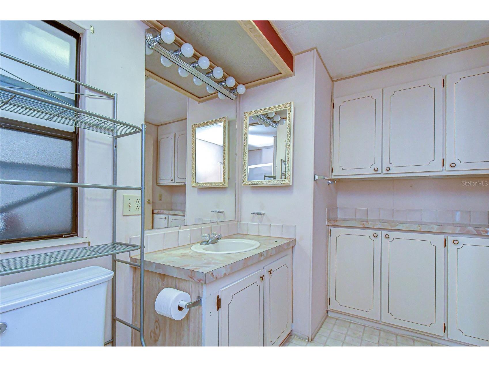 35804 Brisa Drive Zephyrhills FL 33541 TB8507426 image23