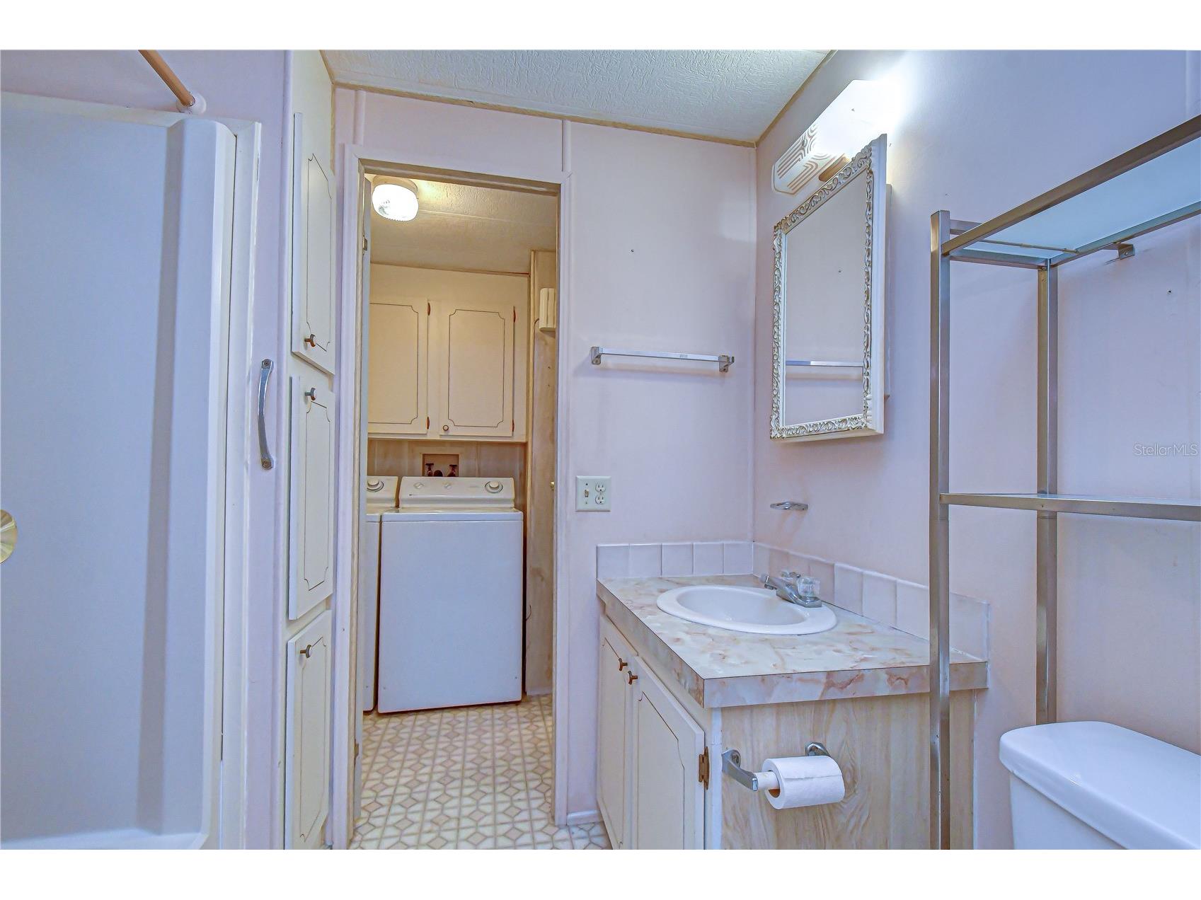 35804 Brisa Drive Zephyrhills FL 33541 TB8507426 image28