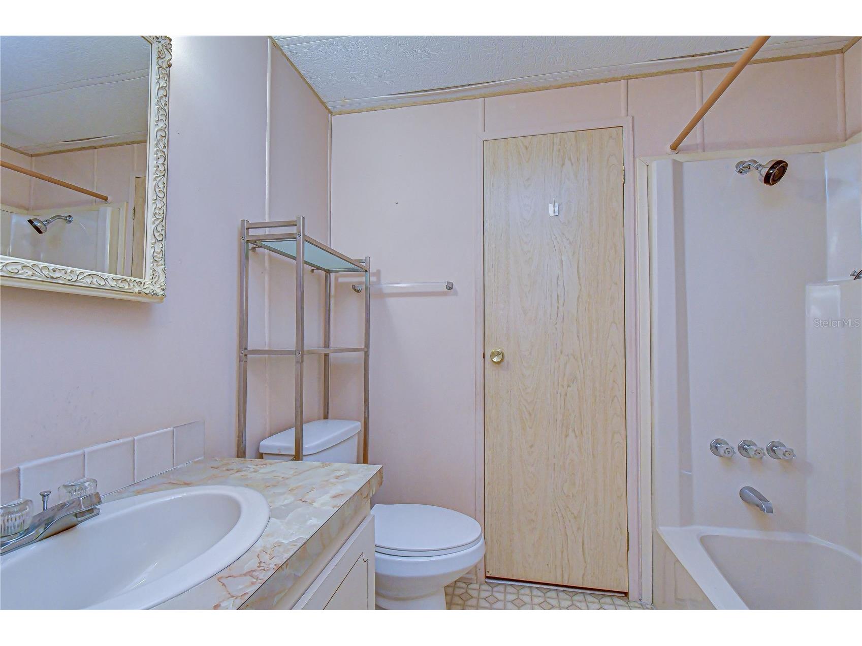 35804 Brisa Drive Zephyrhills FL 33541 TB8507426 image29