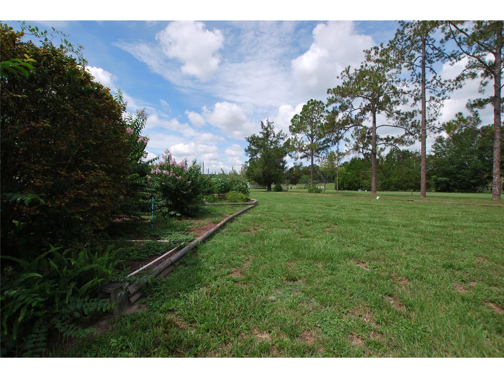 35807 Nova Lane Eustis FL 32736 R4909594 image39