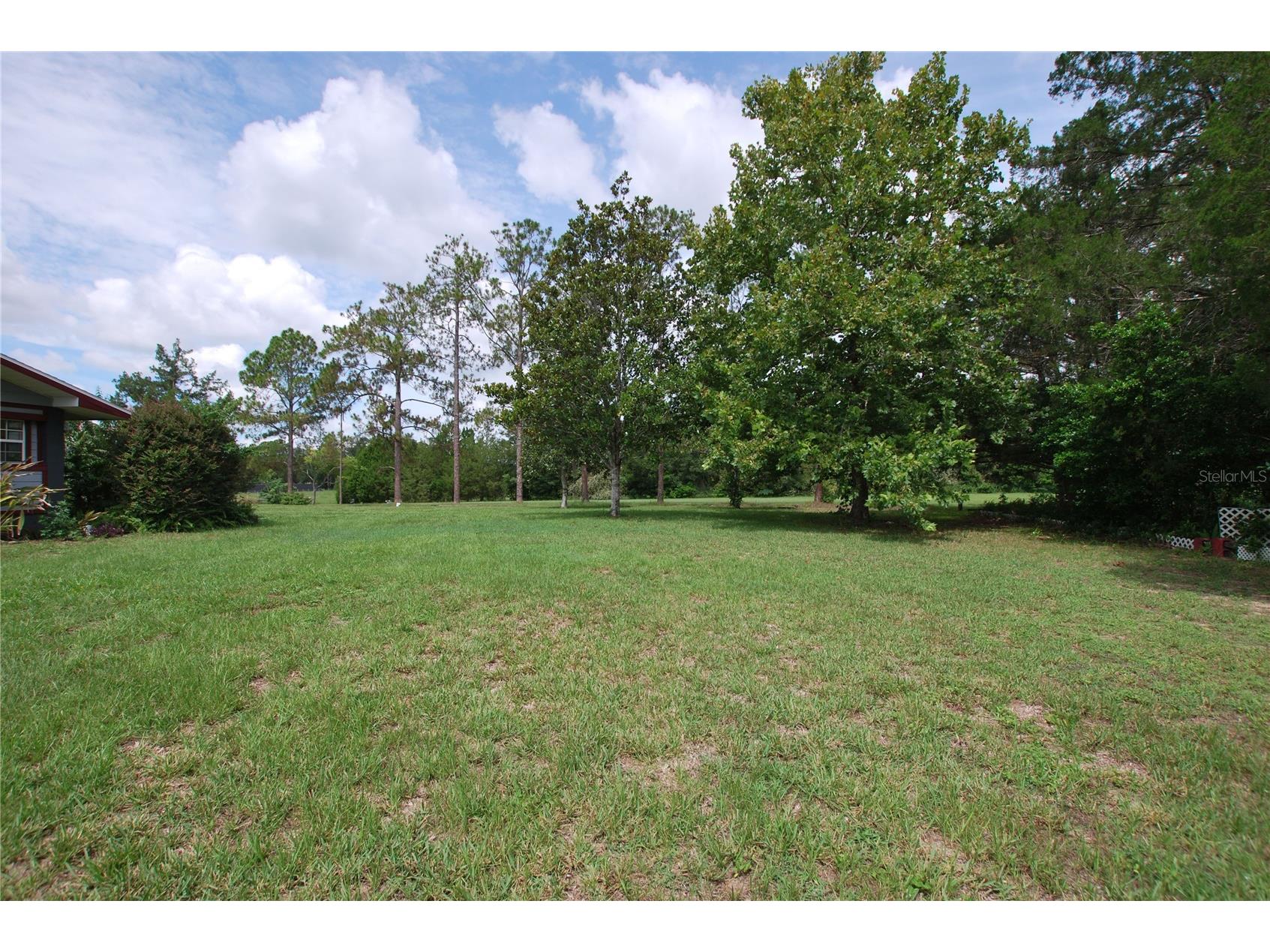 35807 Nova Lane Eustis FL 32736 R4909594 image41