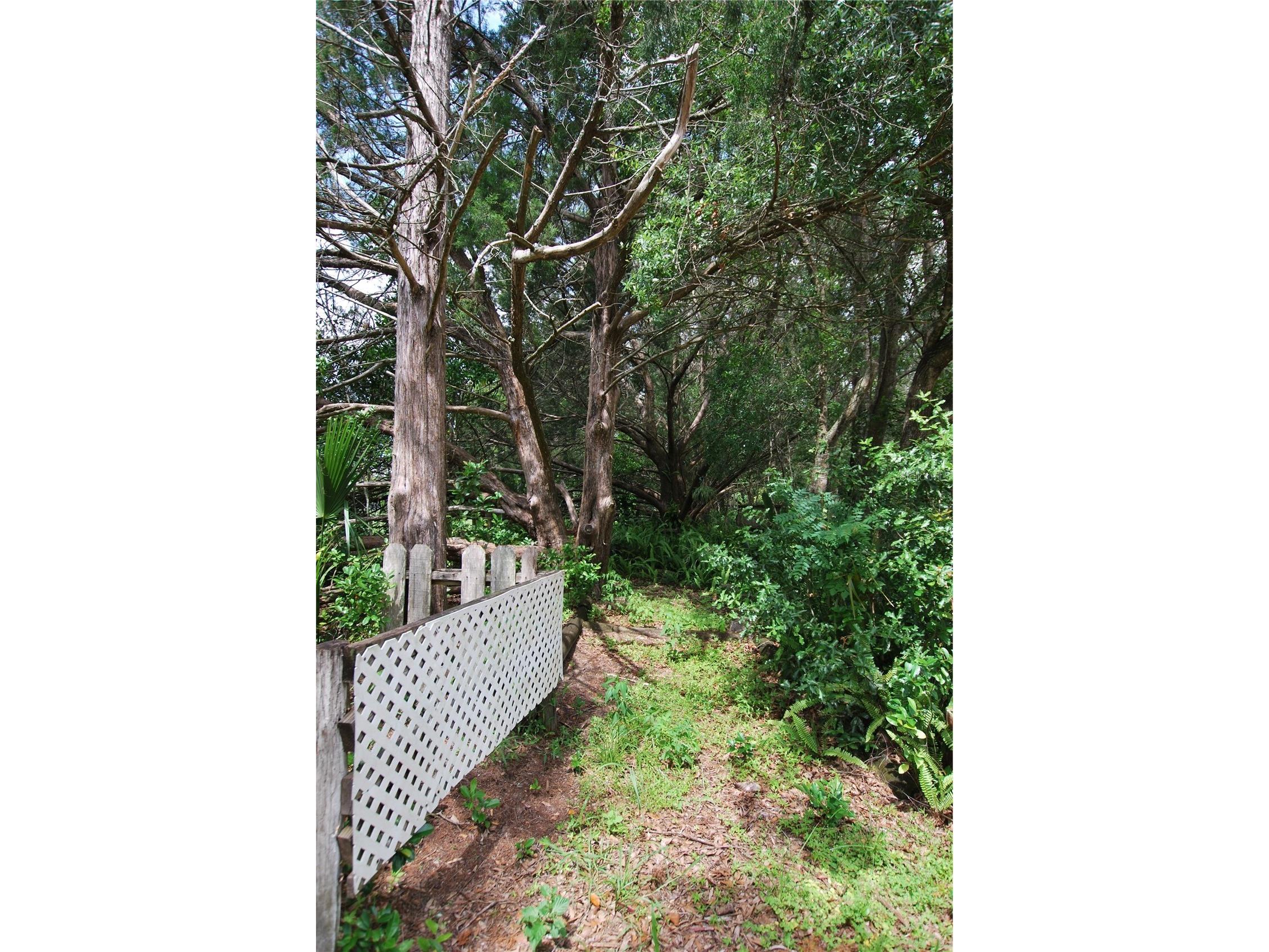 35807 Nova Lane Eustis FL 32736 R4909594 image49