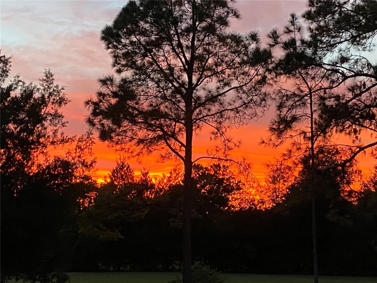 35807 Nova Lane Eustis FL 32736 R4909594 image53