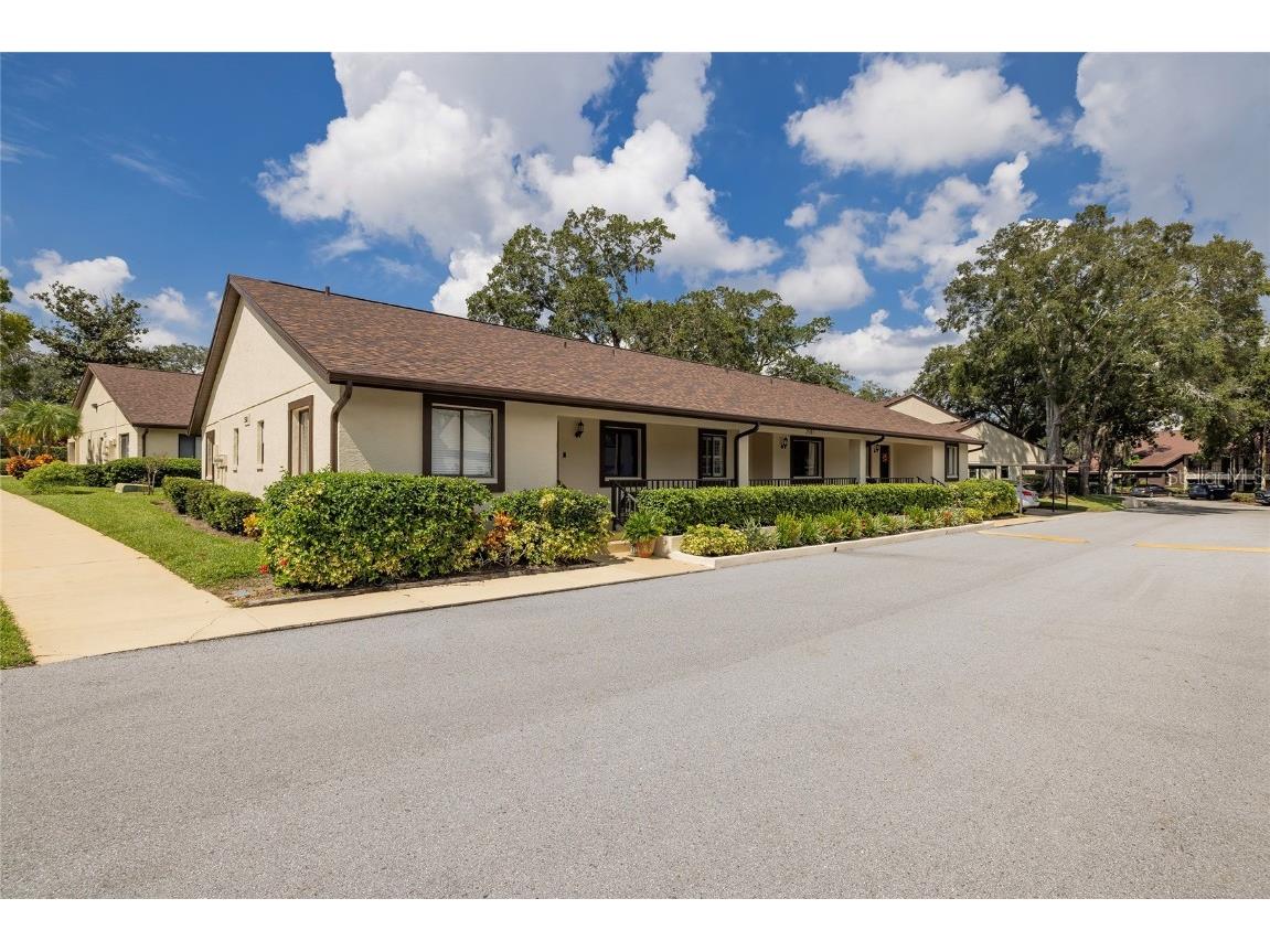 3581 Magnolia Ridge 802 #B Palm Harbor FL 34684 TB8314126 image1