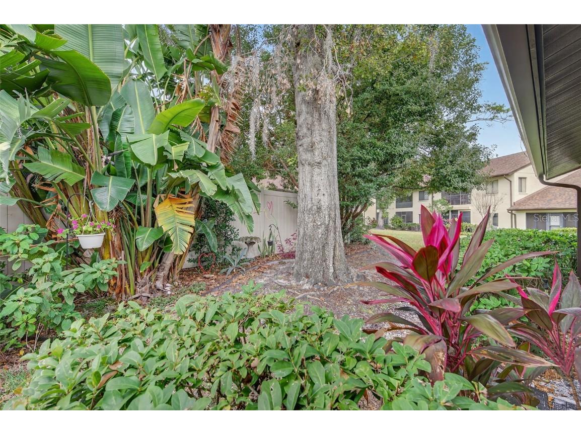 3581 Magnolia Ridge Circle #C Palm Harbor FL 34684 TB8455136 image23