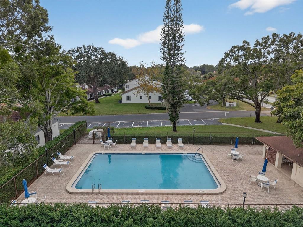 3581 Magnolia Ridge Circle #C Palm Harbor FL 34684 TB8455136 image24