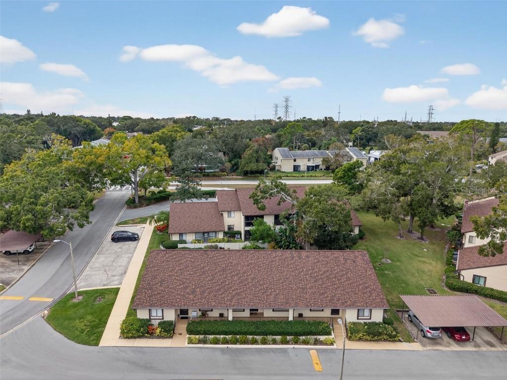 3581 Magnolia Ridge Circle #C Palm Harbor FL 34684 TB8455136 image27