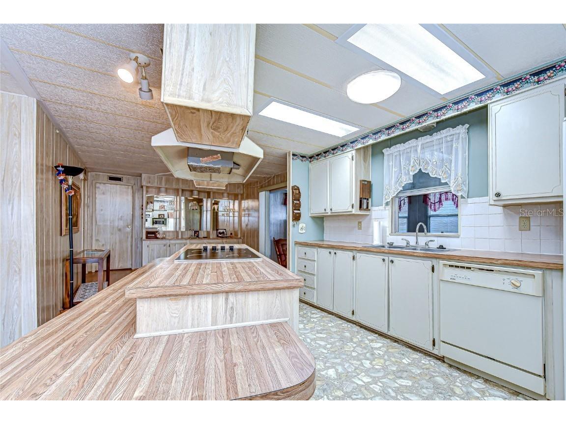 35811 Pradera Drive Zephyrhills FL 33541 TB8441931 image11