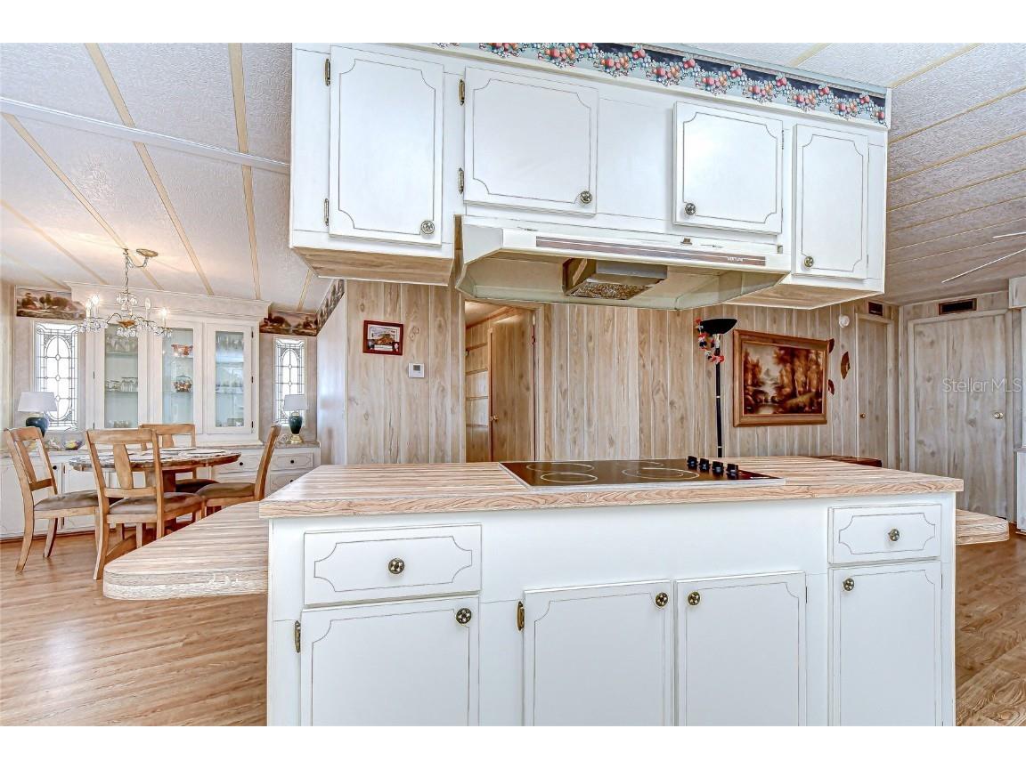 35811 Pradera Drive Zephyrhills FL 33541 TB8441931 image12