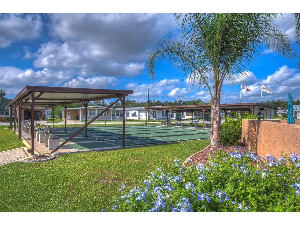 35811 Pradera Drive Zephyrhills FL 33541 TB8441931 image45