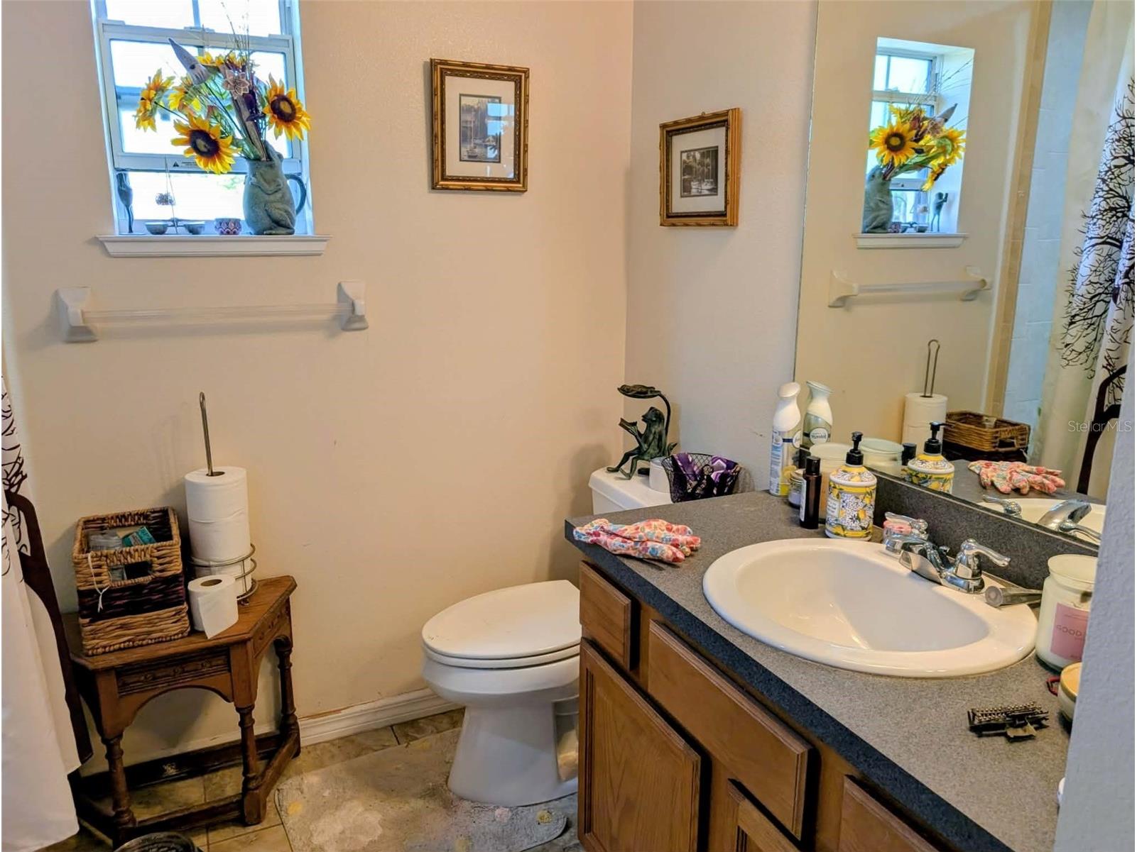 35819 Nova Lane Eustis FL 32736 R4911129 image12