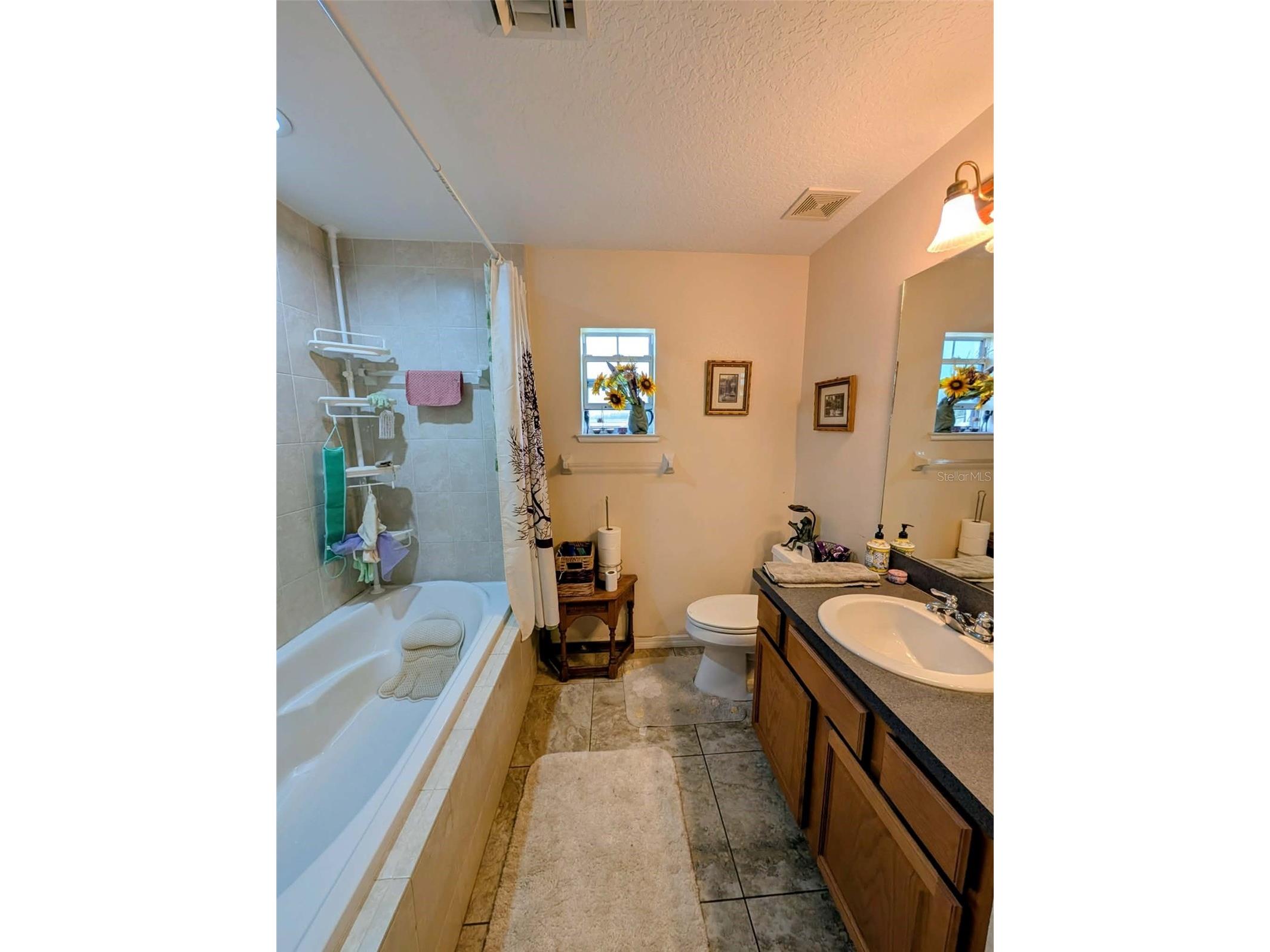 35819 Nova Lane Eustis FL 32736 R4911129 image13